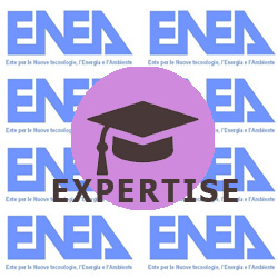 enea-expertise