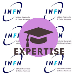 infn-expertise-copia